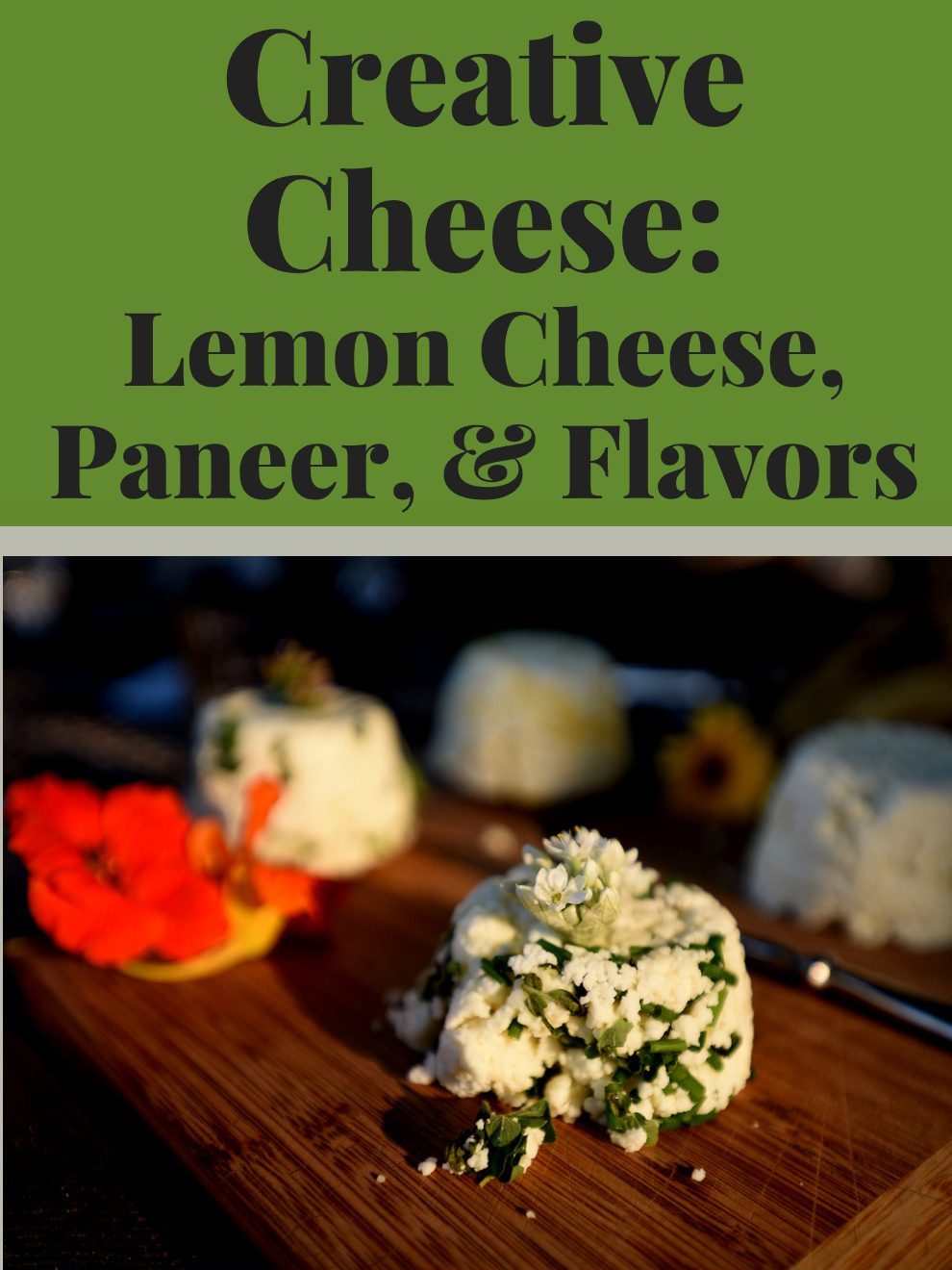 Creative Cheese: Lemon Cheese, Paneer, and Flavors workshop