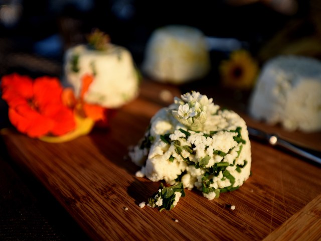 Creative Cheese workshop