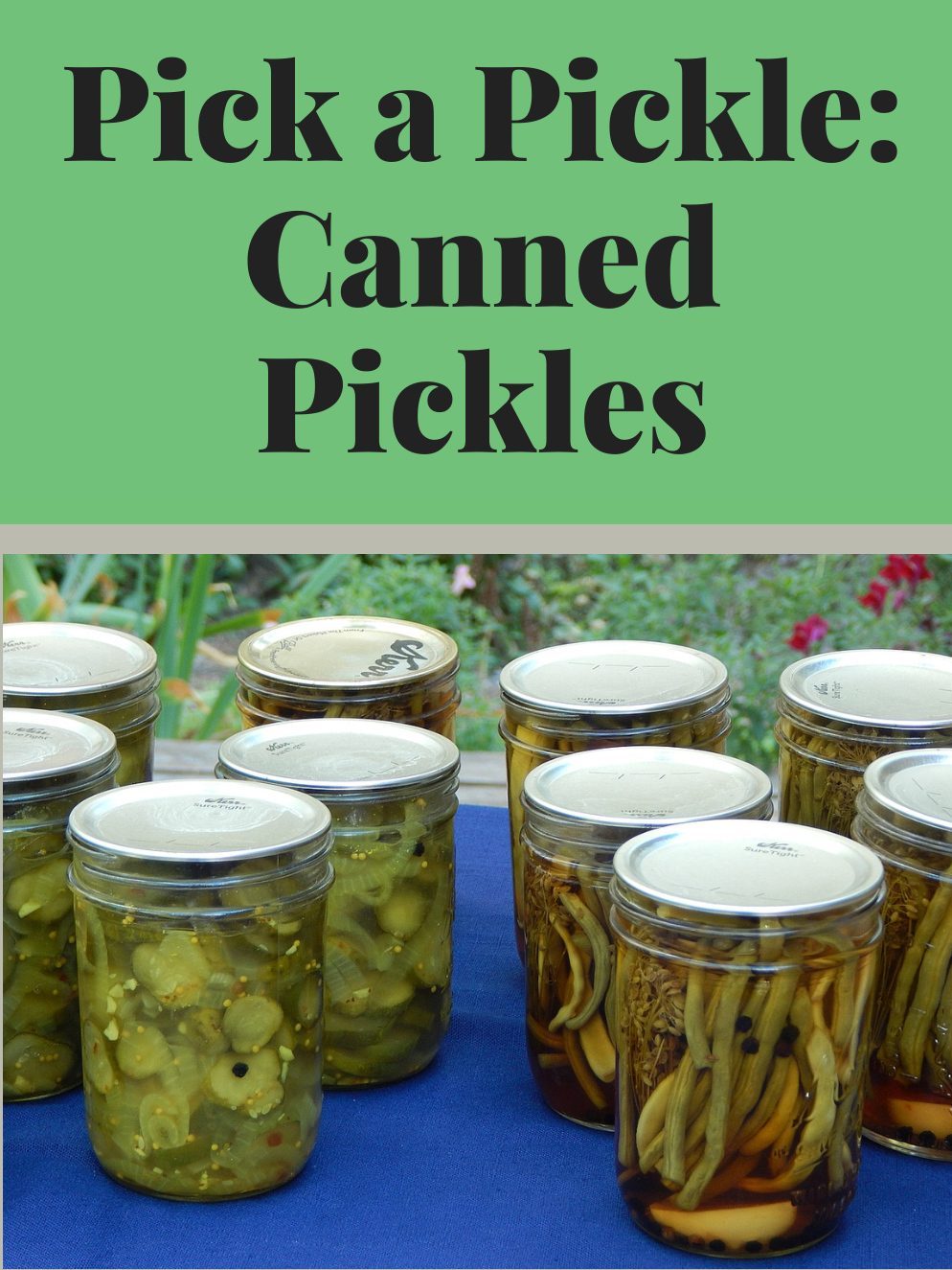 Pick a Pickle: Canned Pickles workshop