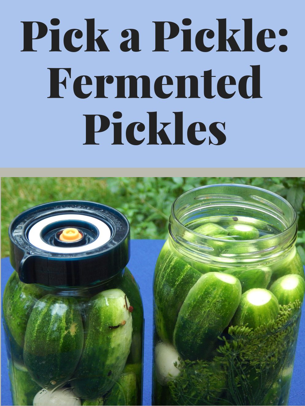 Pick a Pickle: Fermented Pickles workshop