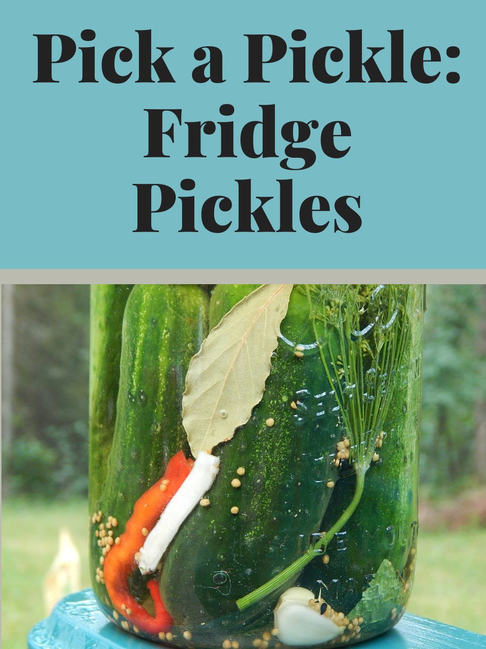 Pick a Pickle: Fridge Pickles workshop