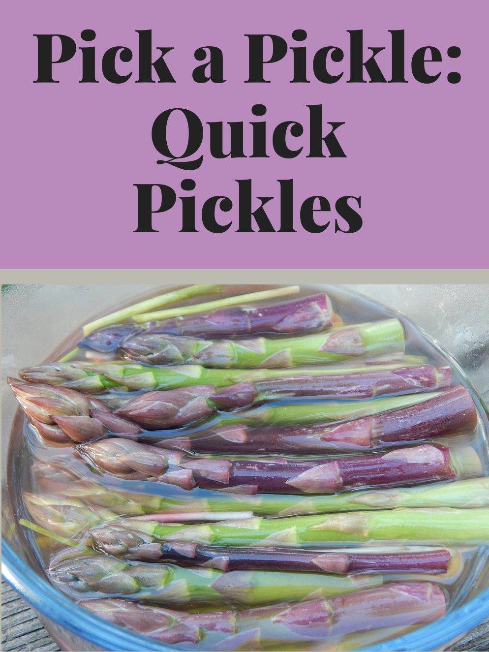 Pick a Pickle: Quick Pickles workshop