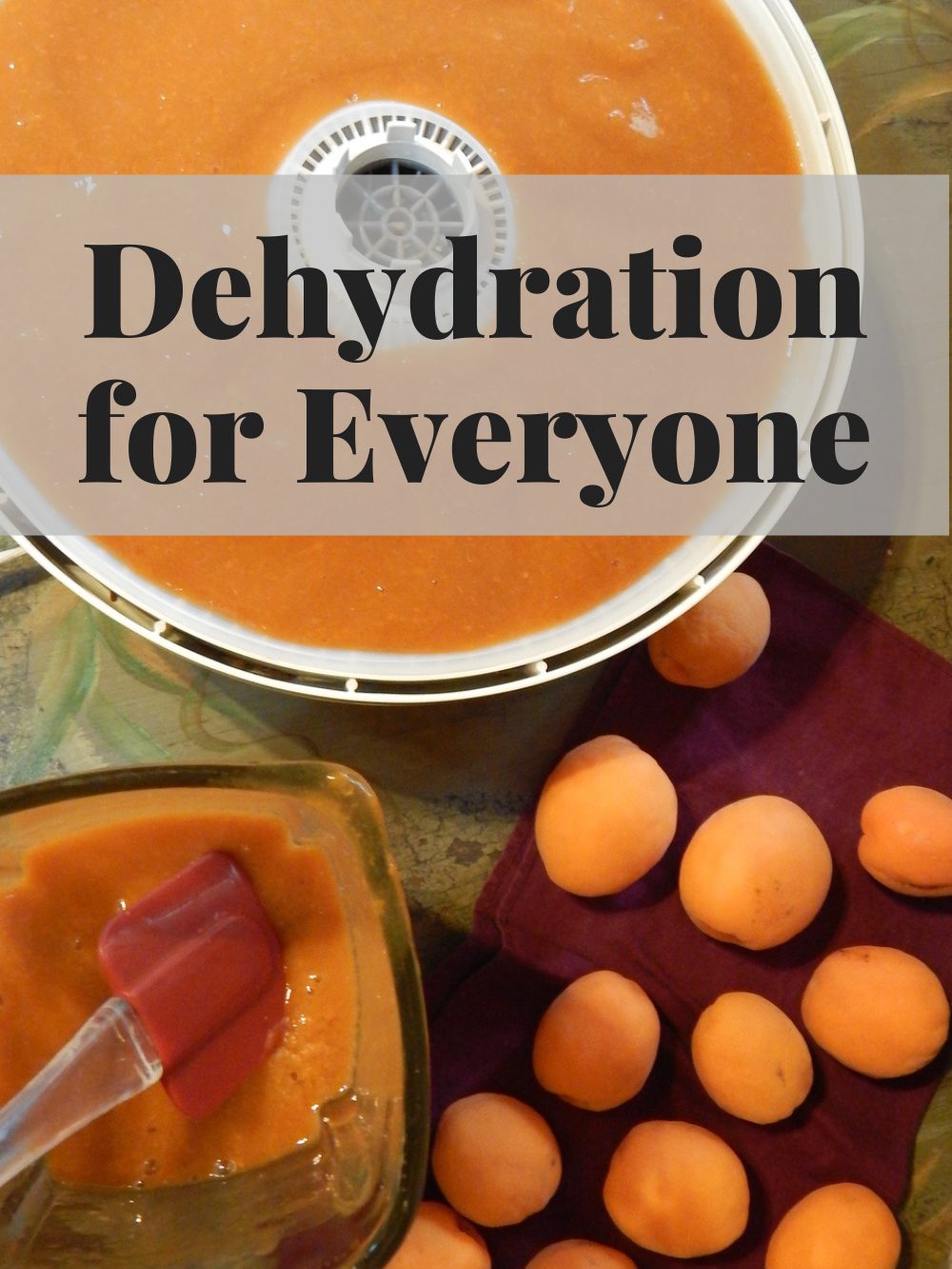 Dehydration for Everyone workshop