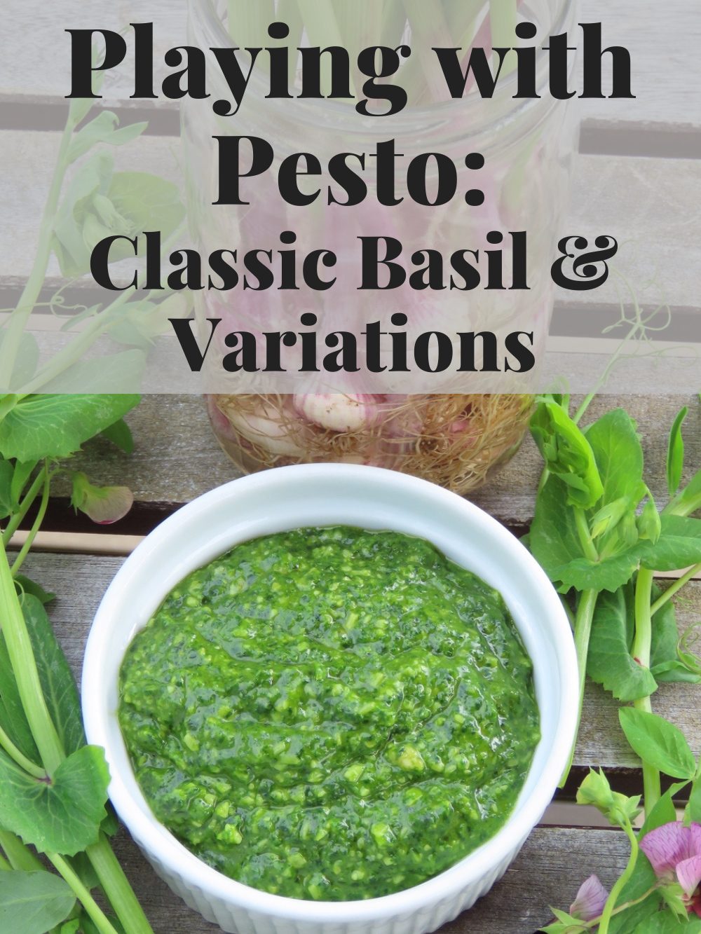 Playing with Pesto workshop